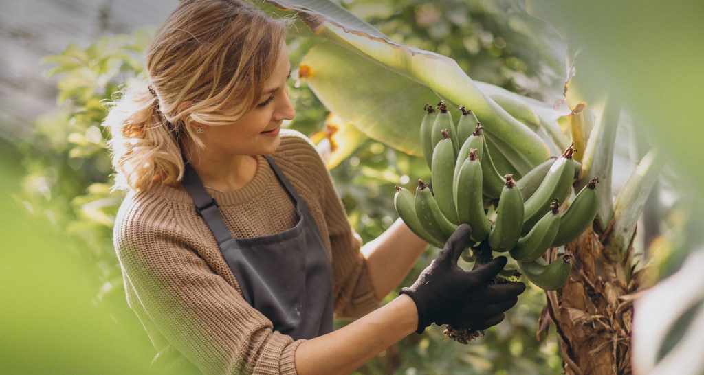 ecofood-sliderbg