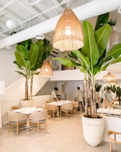 پروژه رستوران مراکشی یونی کورن_اراک | bilobaonline.com