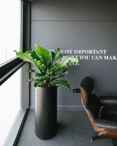 هلدینگ سبز آریا(هوفنبرگ)-کرج | bilobaonline.com