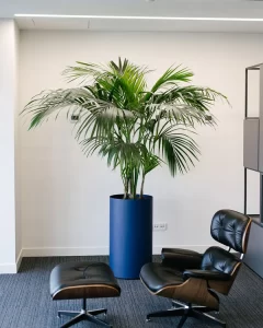 پارک سنتر فرمانیه |bilobaonline.com