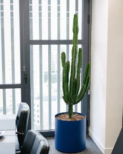 پارک سنتر فرمانیه |bilobaonline.com