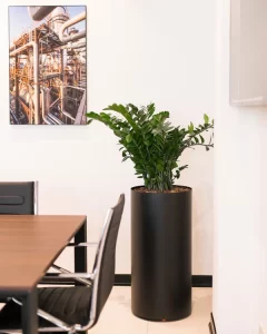 درریز ساختمان رایان ونک میدان شیخ بهایی | bilobaonline.com