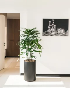 درریز ساختمان رایان ونک میدان شیخ بهایی | bilobaonline.com