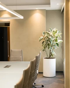 درریز ساختمان رایان ونک میدان شیخ بهایی | bilobaonline.com