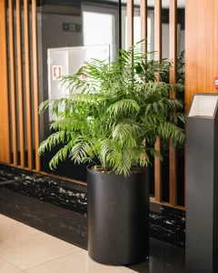 درریز ساختمان رایان ونک میدان شیخ بهایی | bilobaonline.com