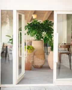 کافه رستوران موزه سینما_ باغ فردوس | bilobaonline.com