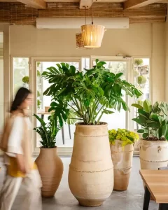 کافه رستوران موزه سینما_ باغ فردوس | bilobaonline.com