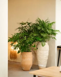 کافه رستوران موزه سینما_ باغ فردوس | bilobaonline.com