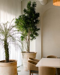 رستوران مراکشی یونی کورن_اراک | بیلوبا