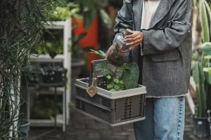 ۵ نکته مهم برای نگهداری گیاهان آپارتمانی در فصل تابستان | بیلوبا