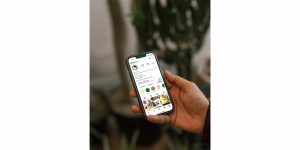 تولید کننده محتوا |فرصت شغلی گلخانه بیلوبا